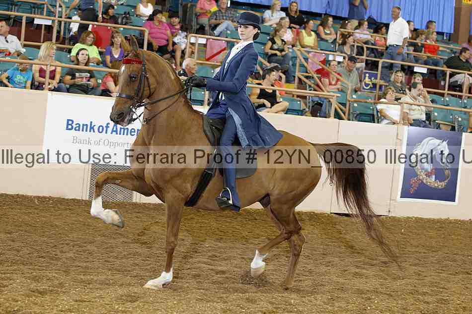 Proof 12yn_00850