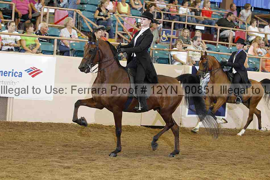 Proof 12yn_00851