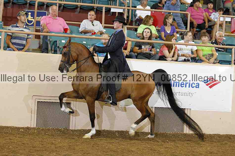 Proof 12yn_00852