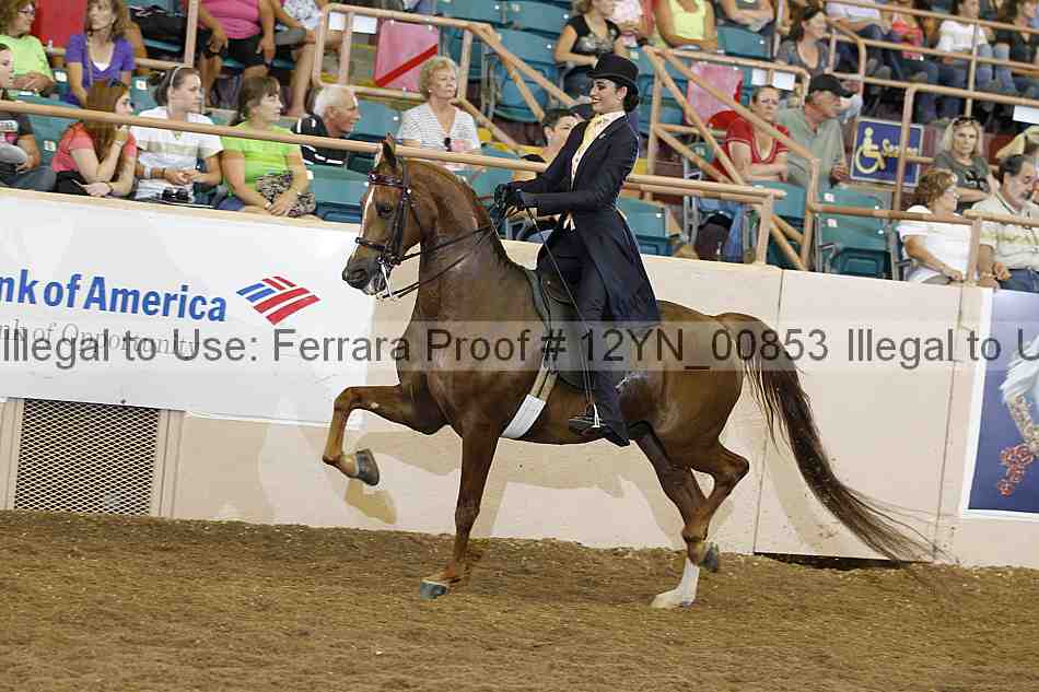 Proof 12yn_00853