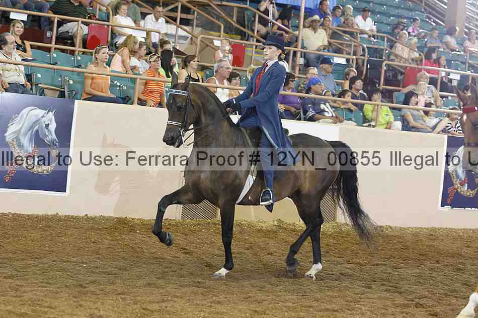 Proof 12yn_00855