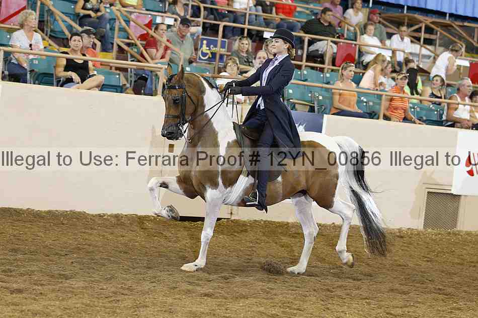 Proof 12yn_00856