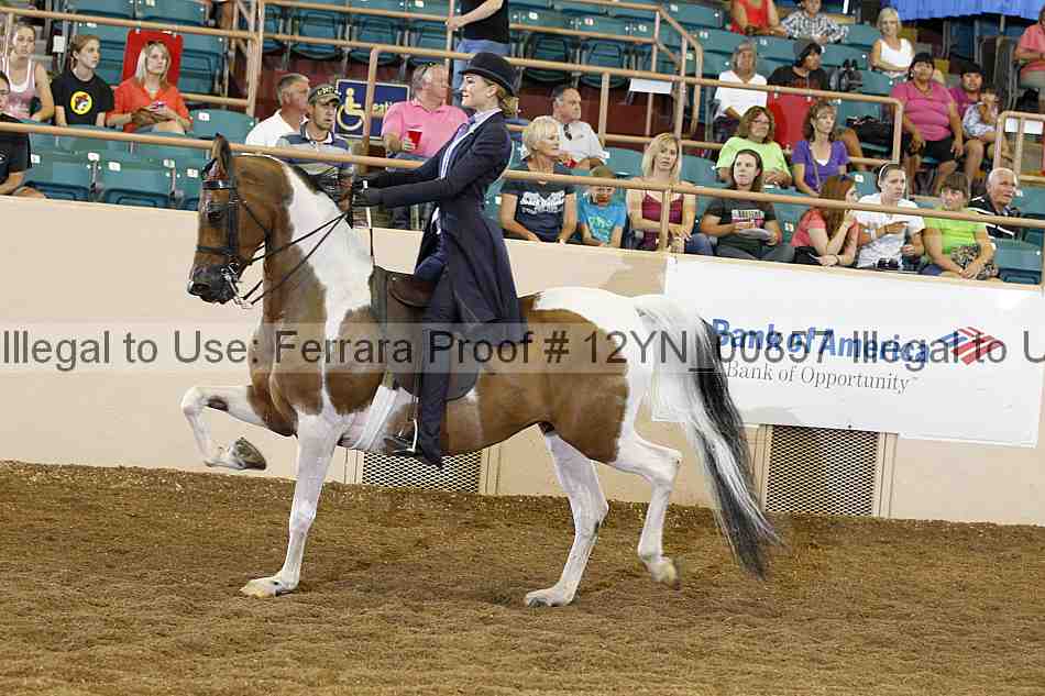 Proof 12yn_00857