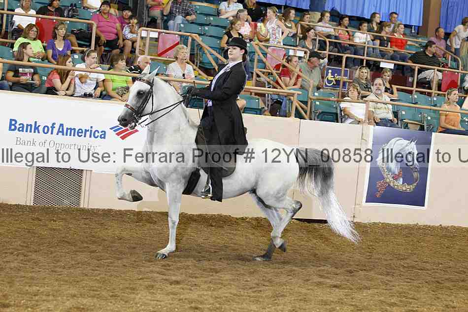 Proof 12yn_00858