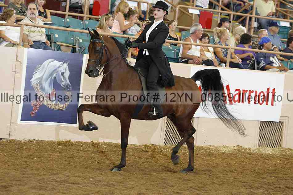 Proof 12yn_00859