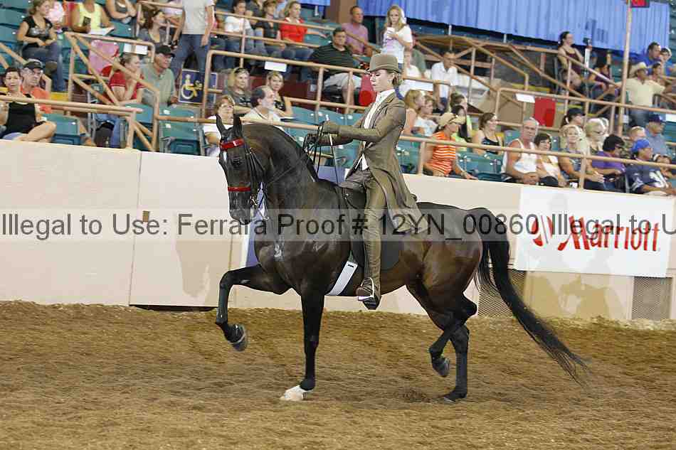 Proof 12yn_00860