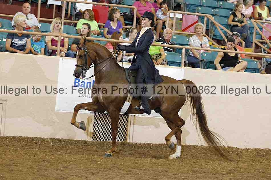 Proof 12yn_00862