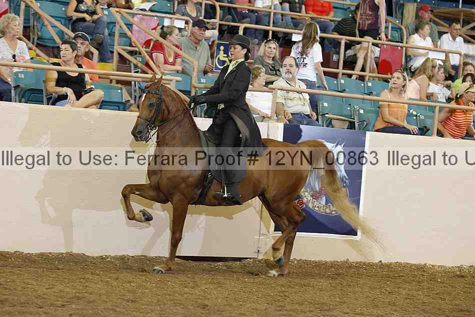 Proof 12yn_00863