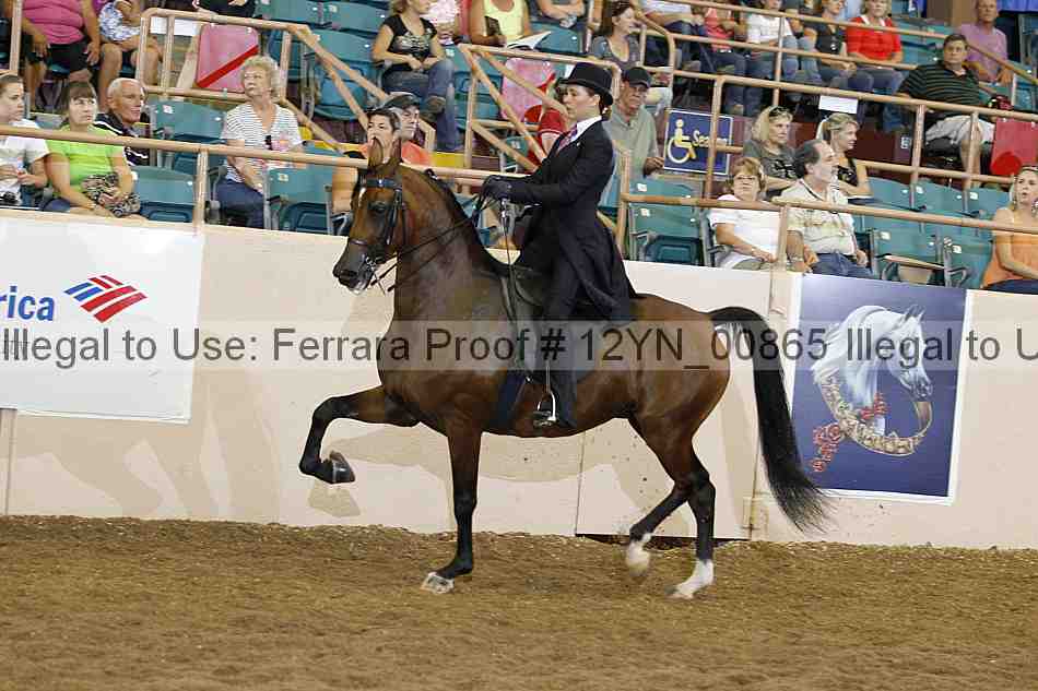 Proof 12yn_00865