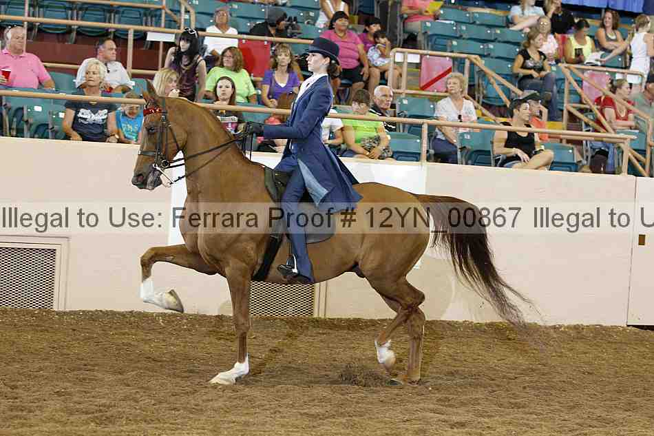 Proof 12yn_00867