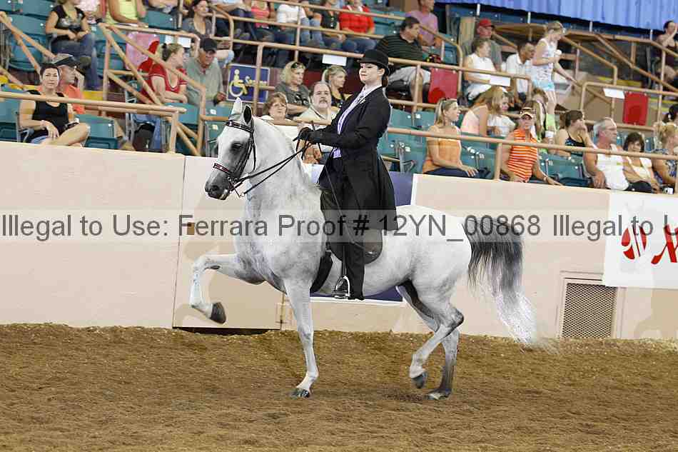 Proof 12yn_00868