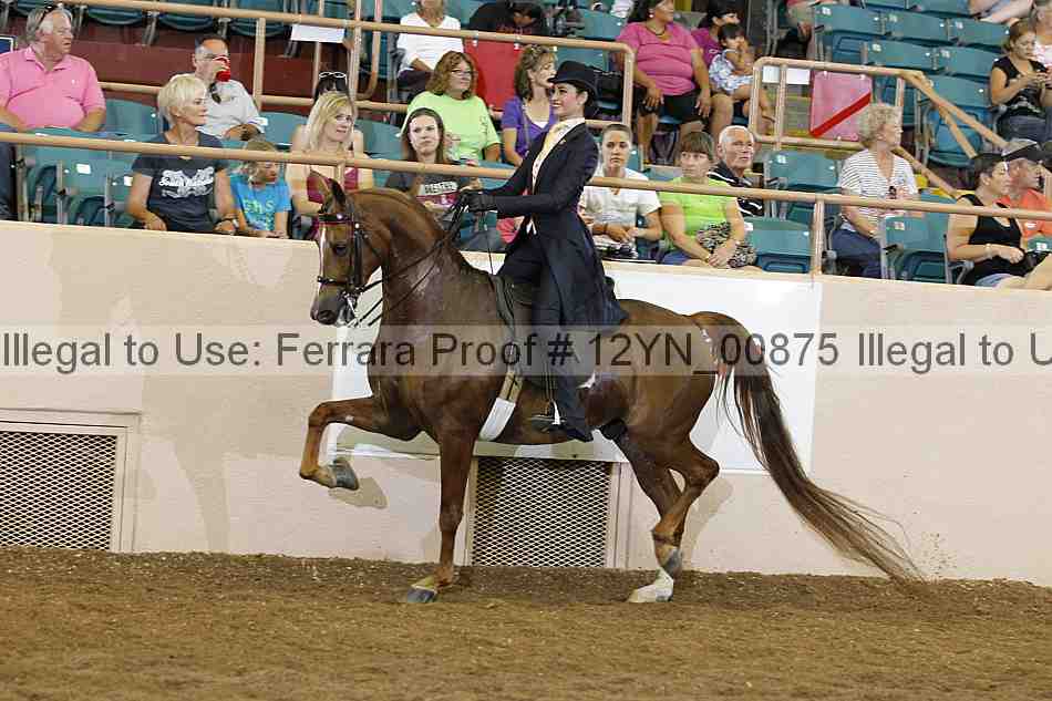 Proof 12yn_00875