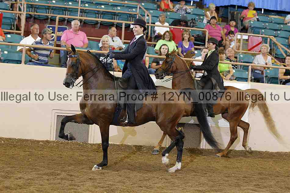 Proof 12yn_00876