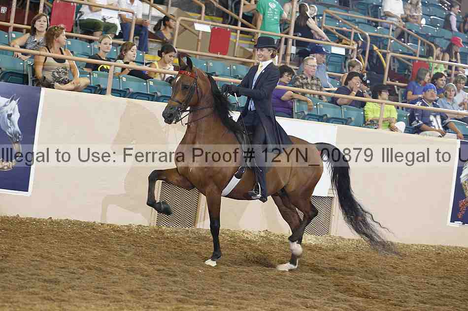 Proof 12yn_00879