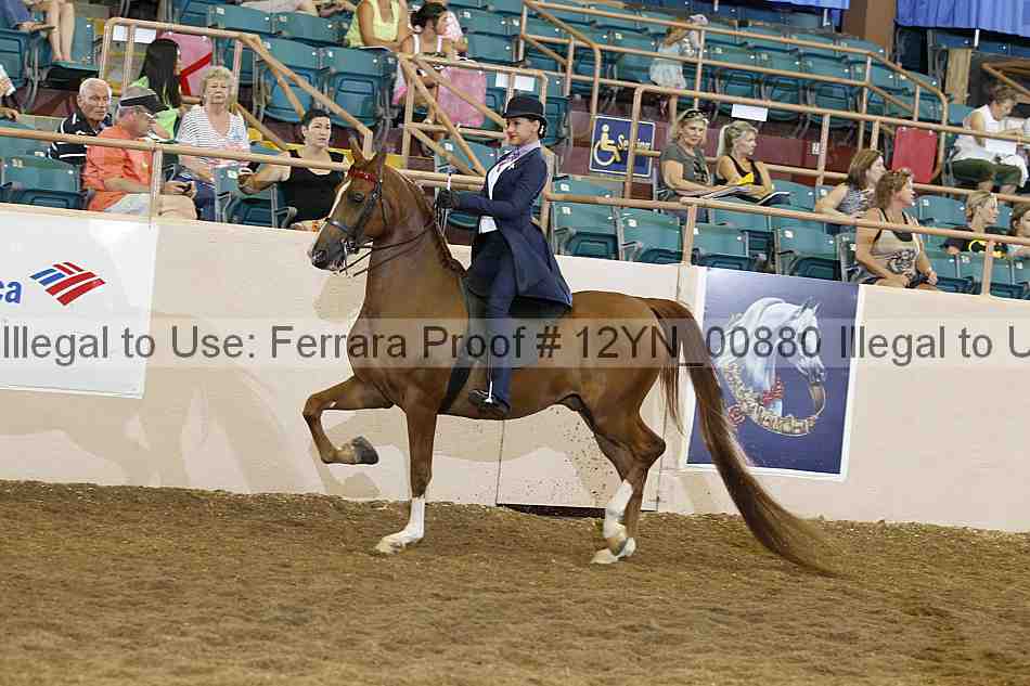 Proof 12yn_00880