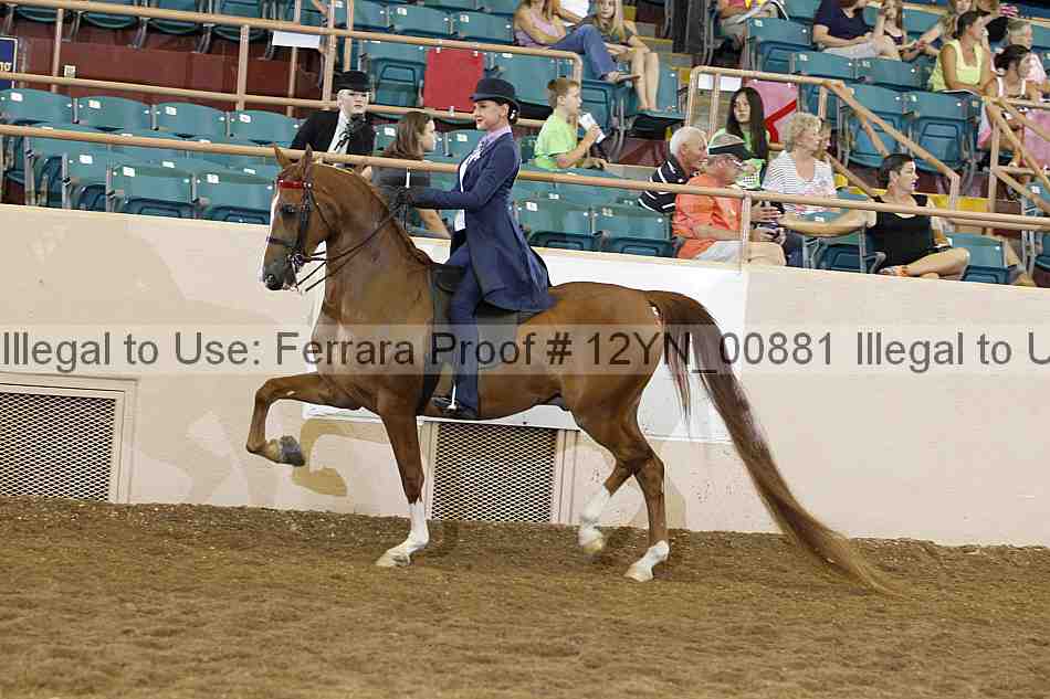 Proof 12yn_00881