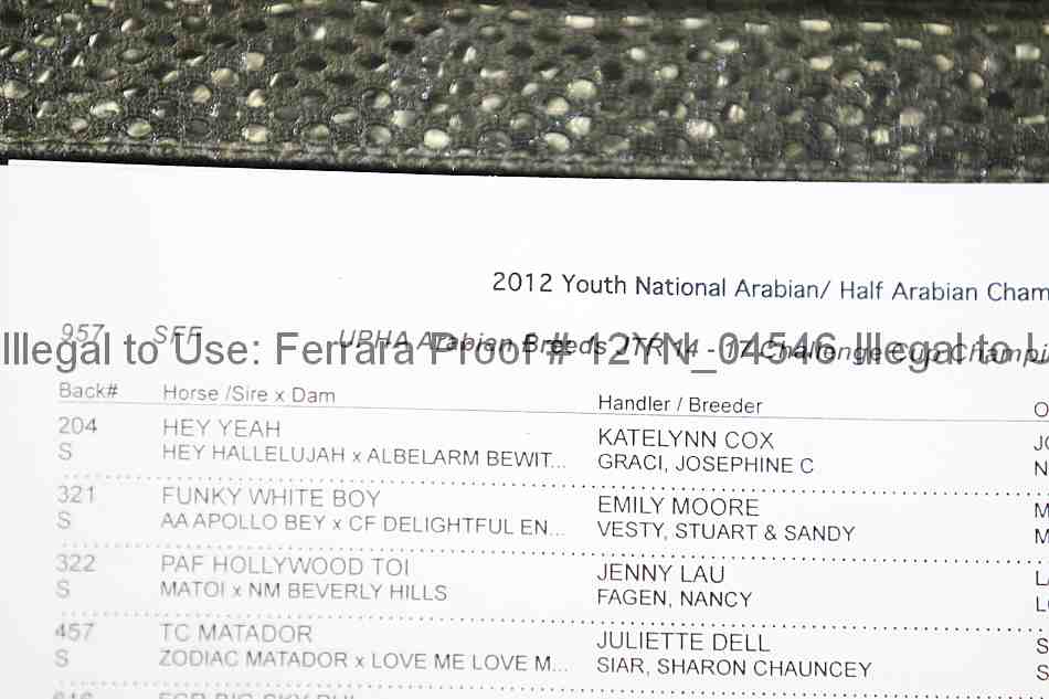 Proof 12yn_04546