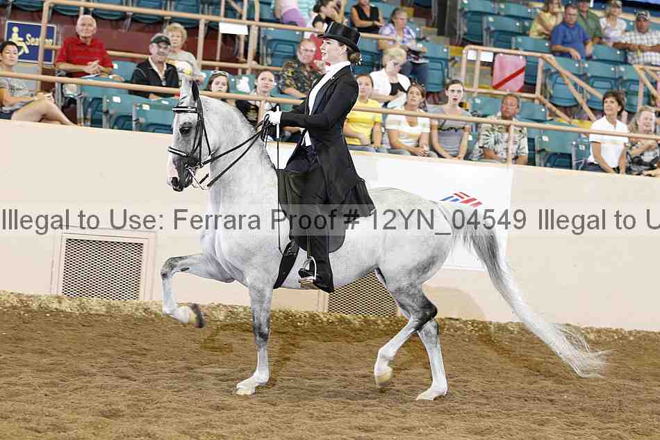 Proof 12yn_04549