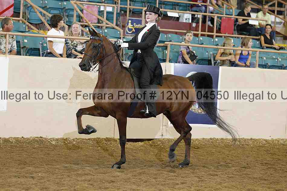 Proof 12yn_04550
