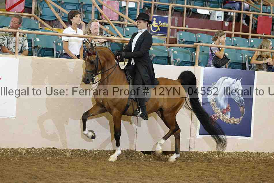 Proof 12yn_04552