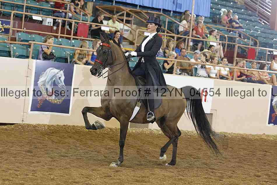 Proof 12yn_04554