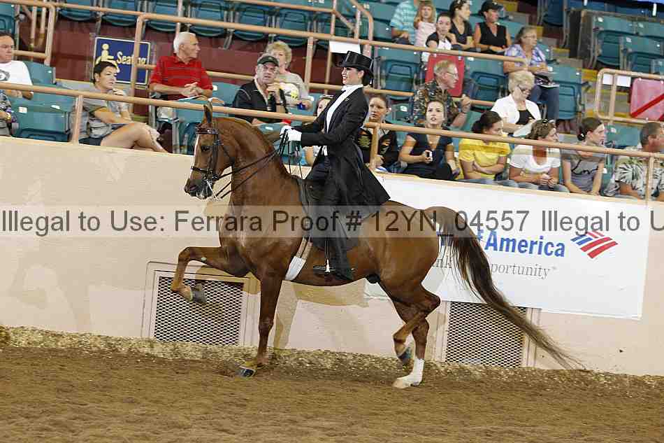 Proof 12yn_04557