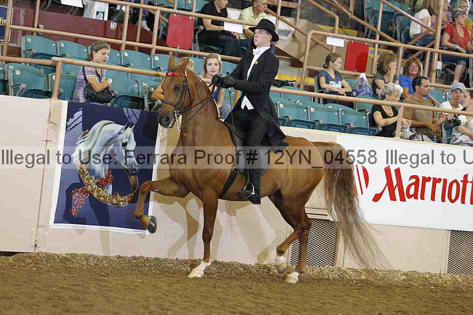 Proof 12yn_04558