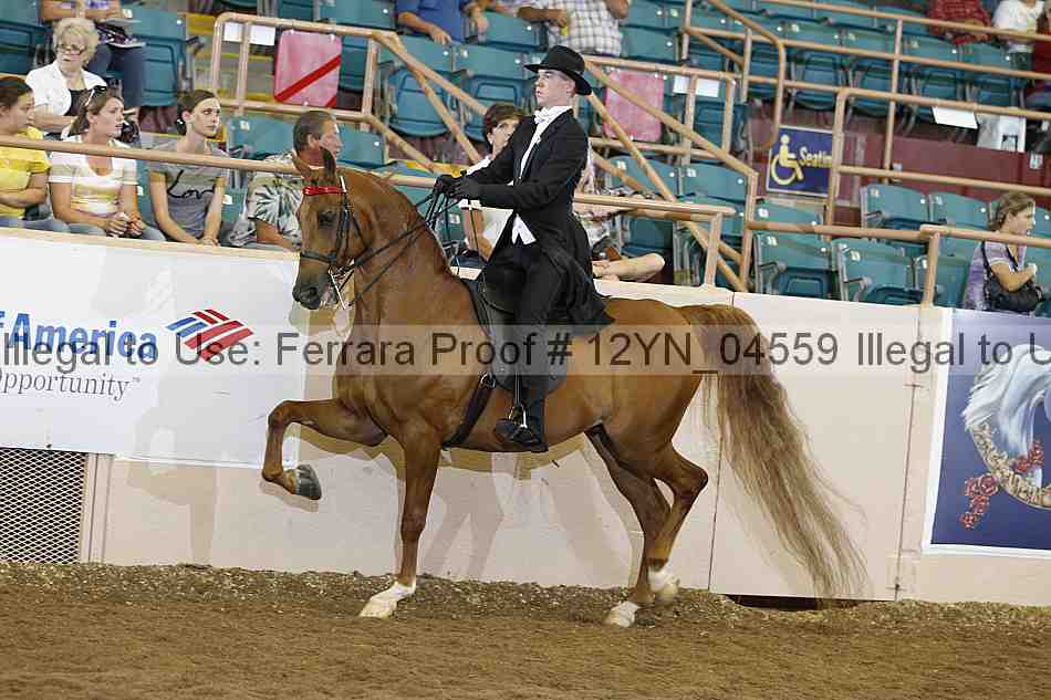 Proof 12yn_04559