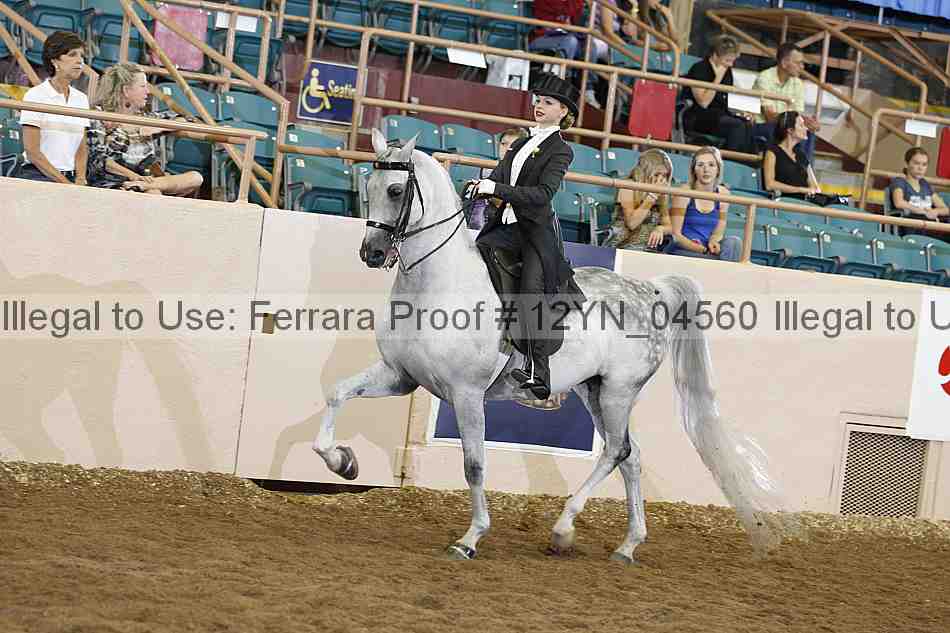 Proof 12yn_04560
