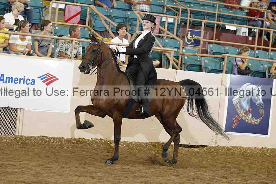 Proof 12yn_04561
