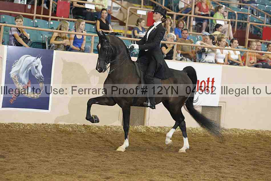 Proof 12yn_04562