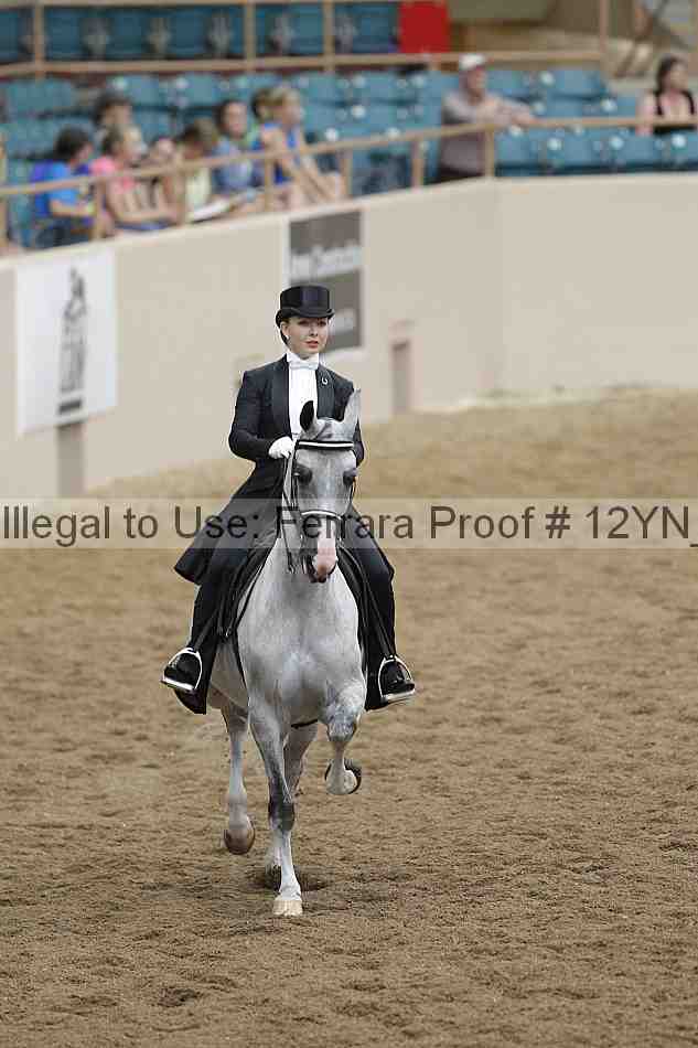 Proof 12yn_04563