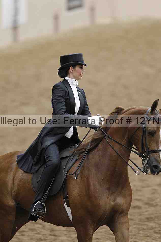 Proof 12yn_04565