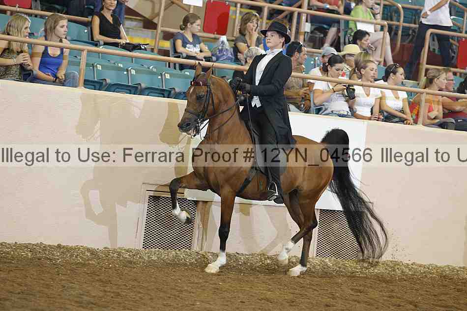 Proof 12yn_04566
