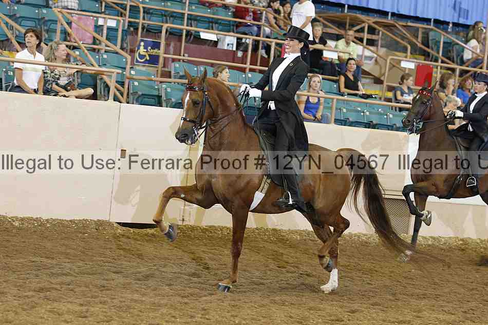 Proof 12yn_04567