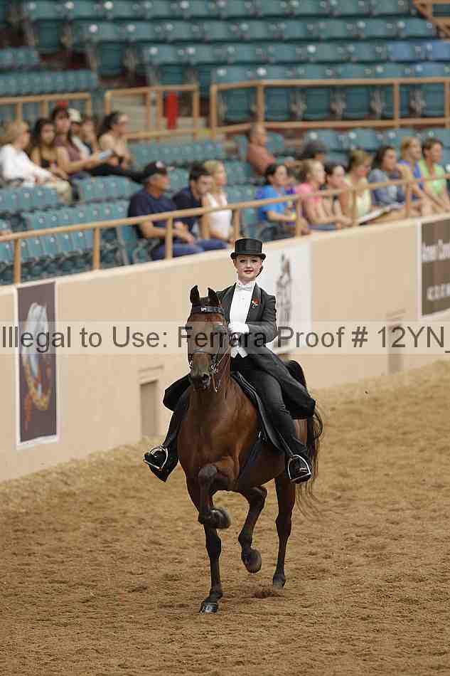 Proof 12yn_04568