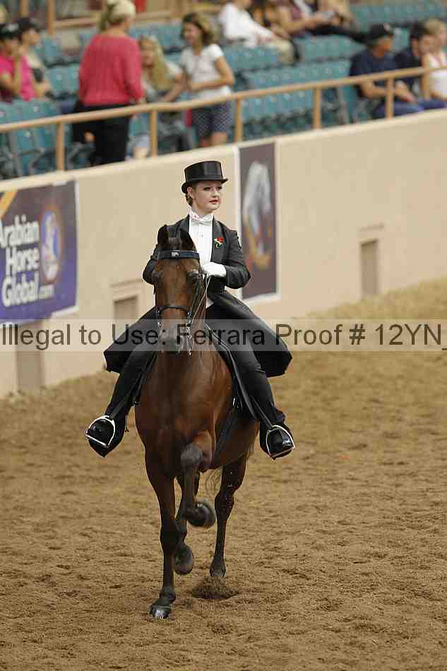 Proof 12yn_04569