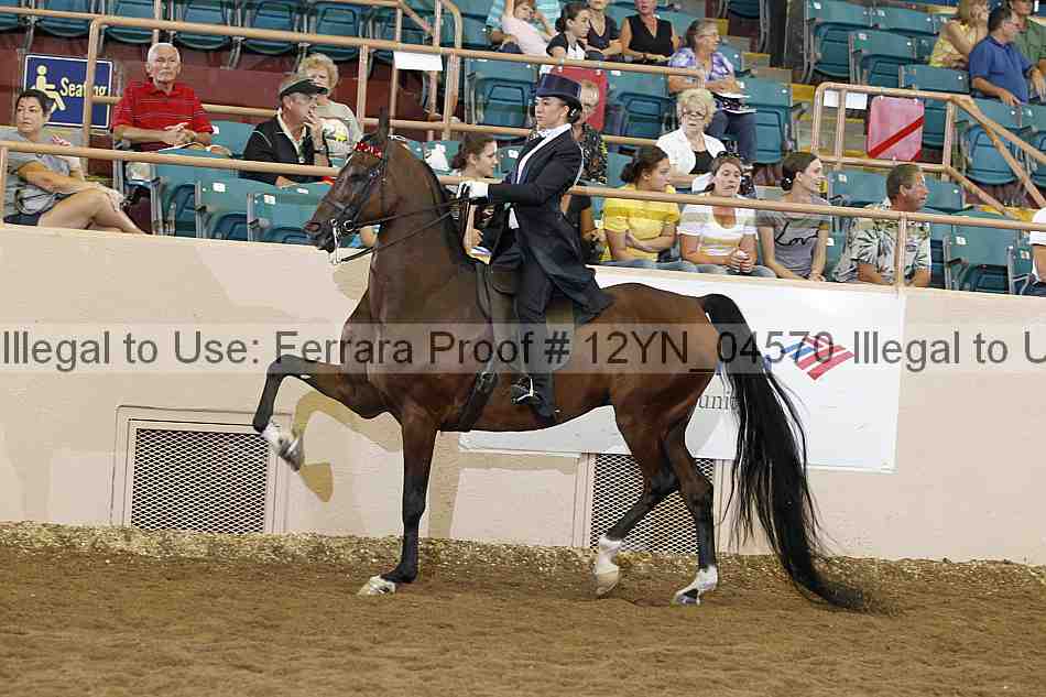 Proof 12yn_04570