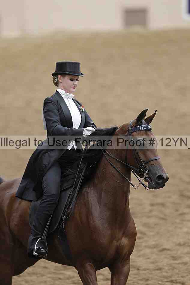 Proof 12yn_04571