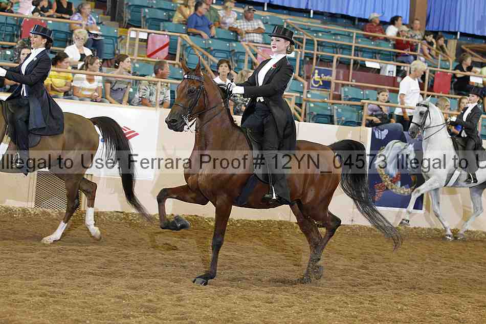 Proof 12yn_04573