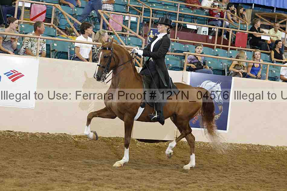 Proof 12yn_04576