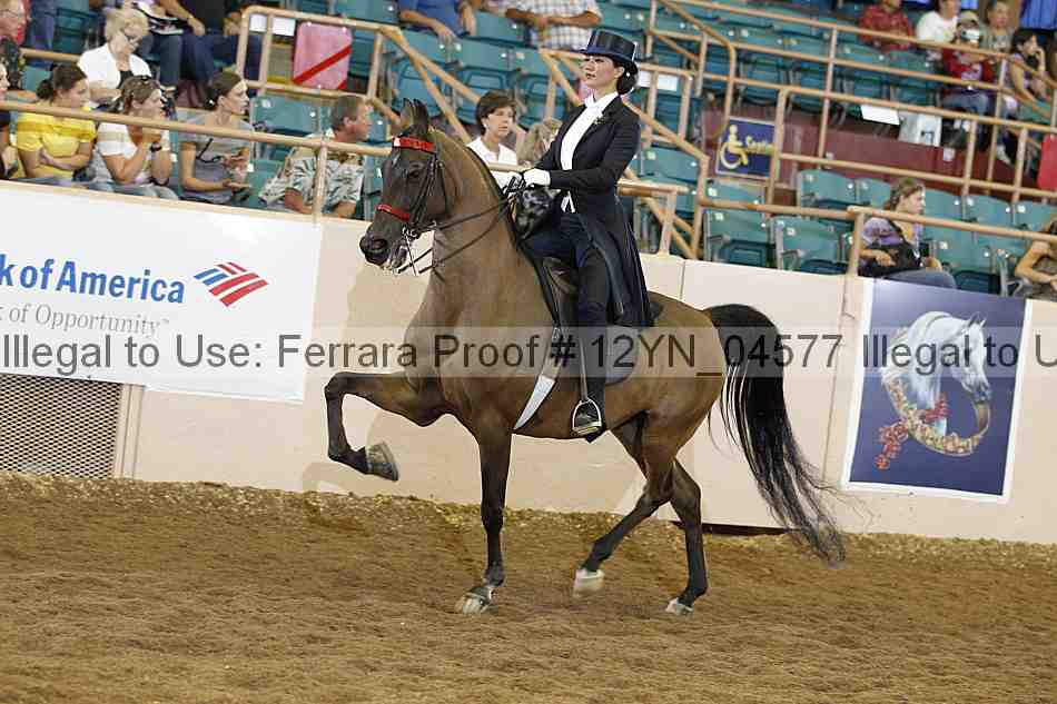 Proof 12yn_04577