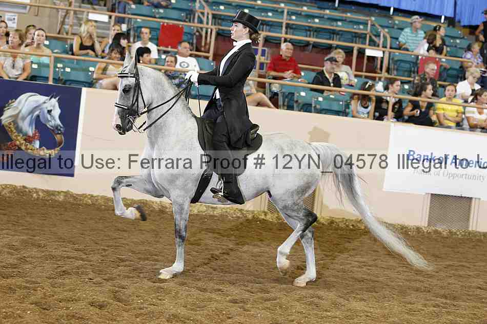 Proof 12yn_04578