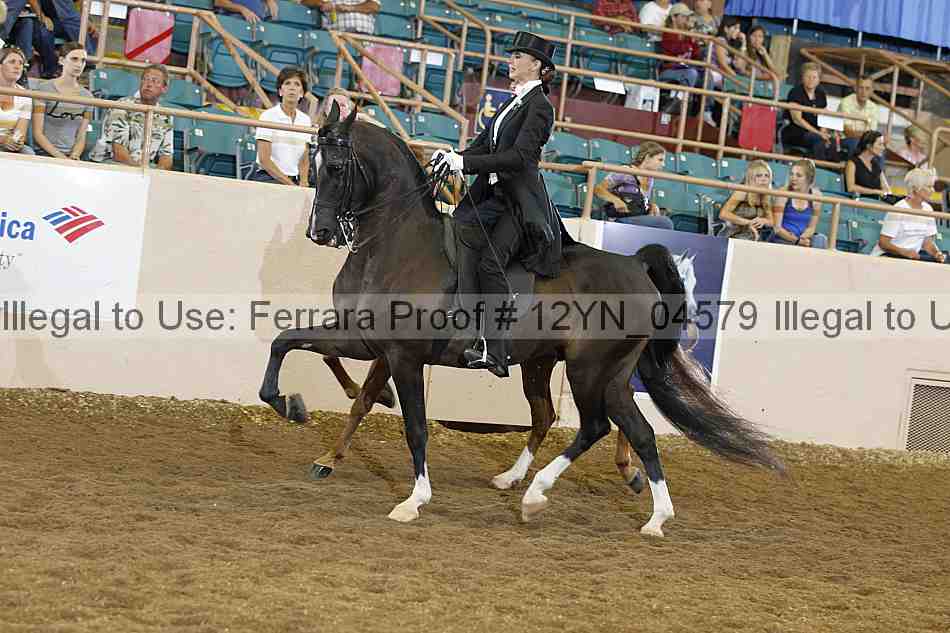 Proof 12yn_04579