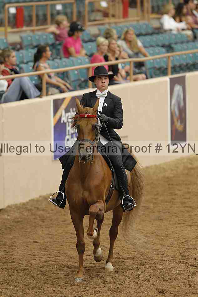 Proof 12yn_04580