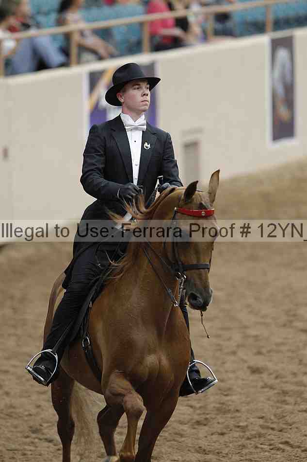 Proof 12yn_04581