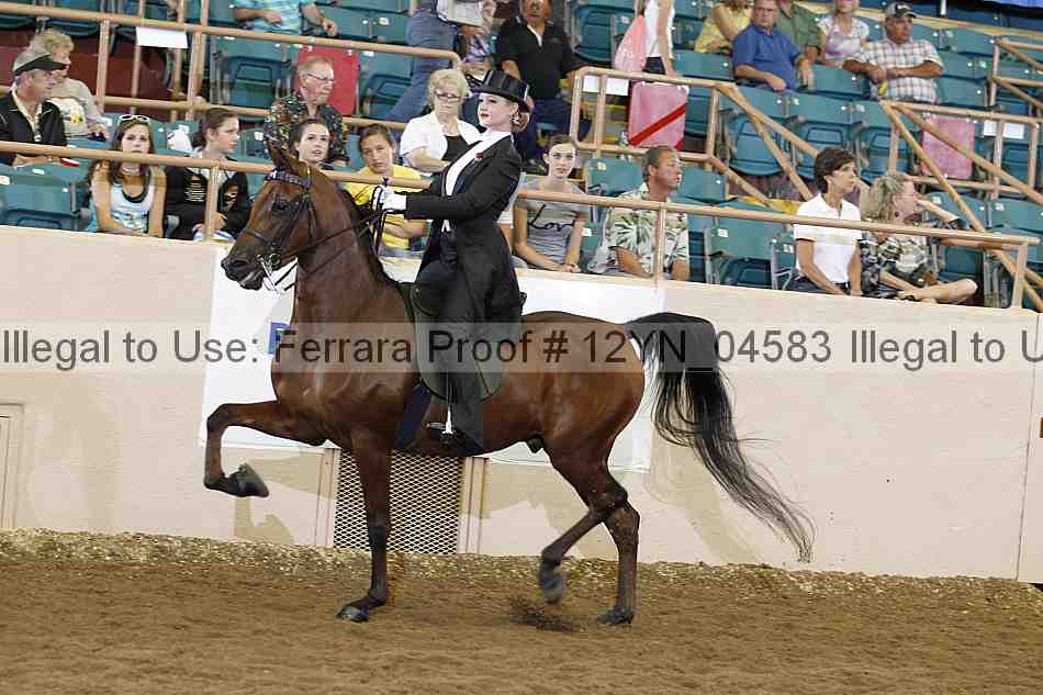 Proof 12yn_04583