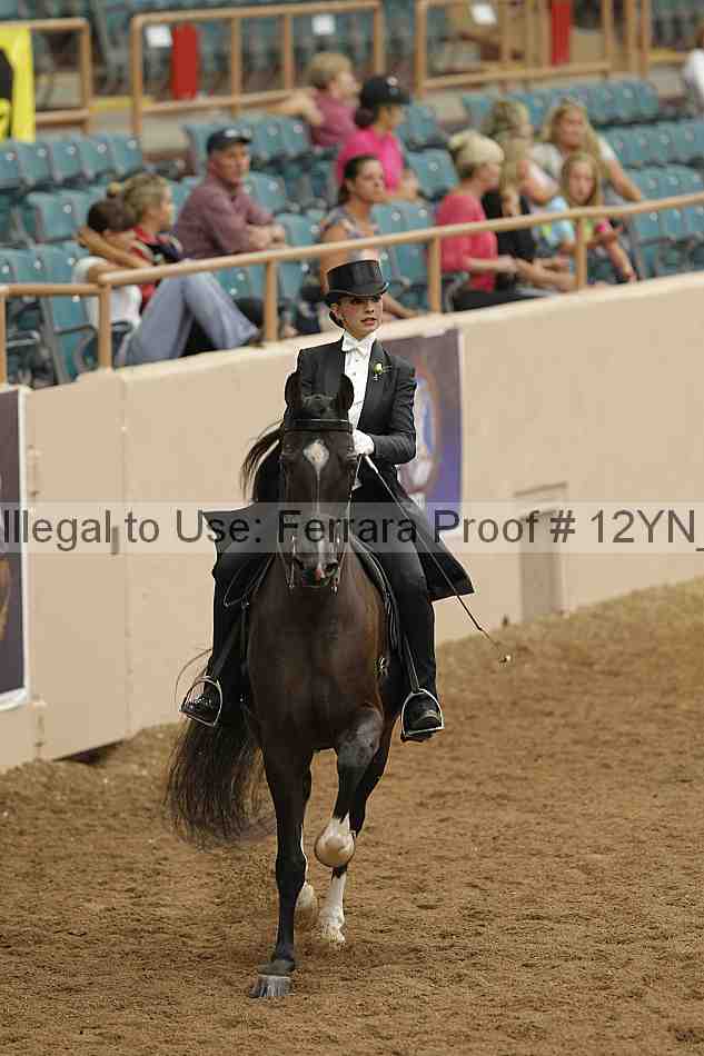 Proof 12yn_04587