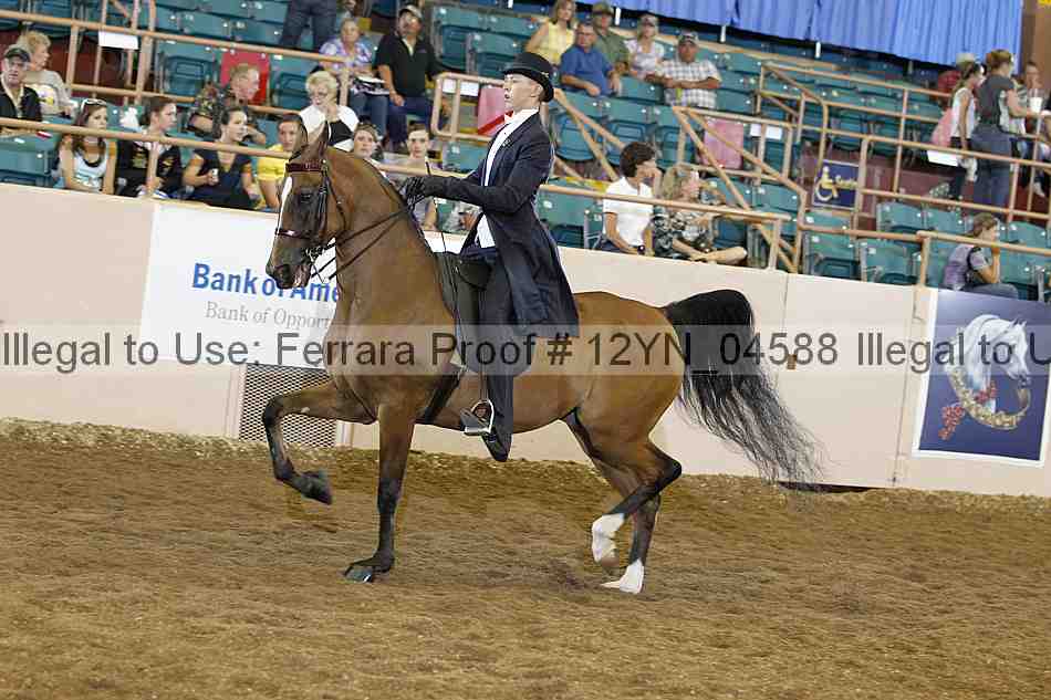 Proof 12yn_04588
