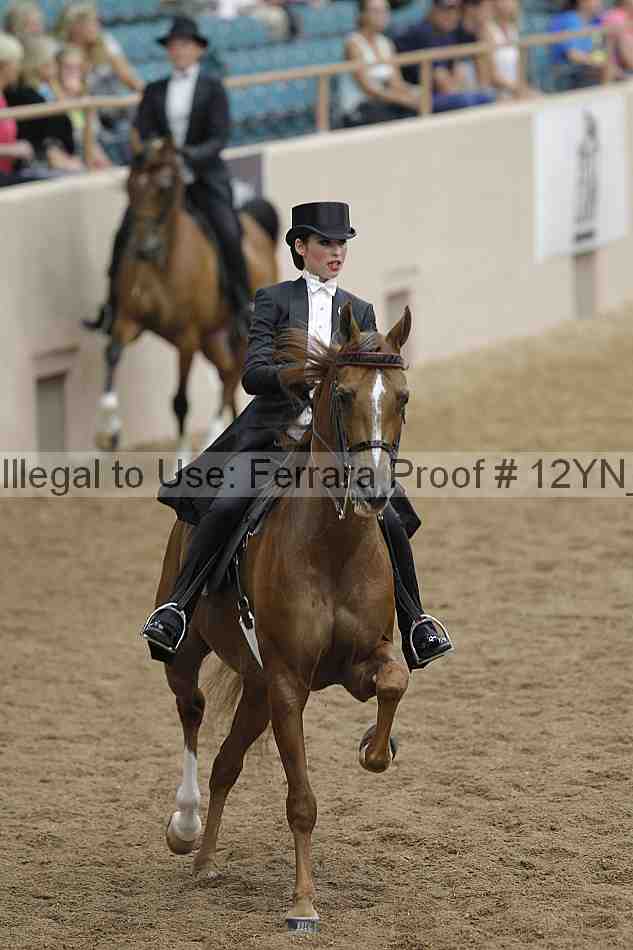 Proof 12yn_04589